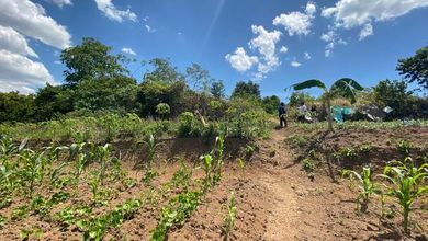 Kavling Prestisius Dijual di Taktakan, Serang, Harga 75 Miliar