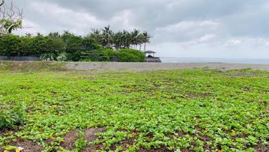 For Sale Tanah Eksklusif di Canggu, Badung, LT 10000m²