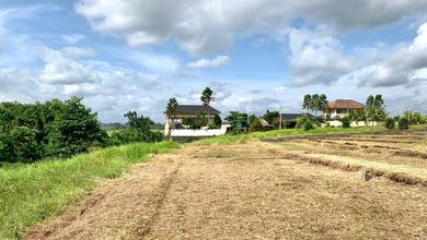 Jual Cepat Tanah Murah di Buwit, Tabanan, LT 4550m²