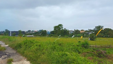Jual Tanah di Lokasi Premium Canggu, Badung, Harga 624 Juta