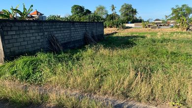 Investasi Tanah Murah di Ketewel, Gianyar, Luas 306m²