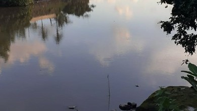 Jual Cepat Tanah Terjangkau di Kediri, Tabanan, LT 4065m²