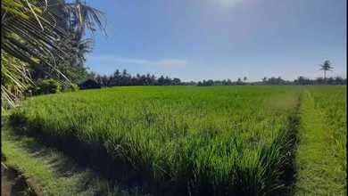 Kavling Prestisius Dijual di Selemadeg, Tabanan, Harga 13,9 Triliun