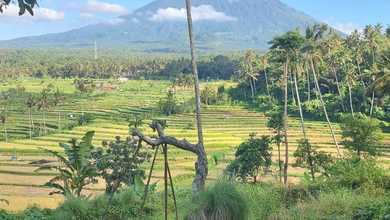 Tanah Elit Dijual di Ababi, Karangasem, Harga 380 Triliun