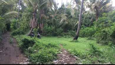 Tanah Luas 1000 m2 Kawasan Strategis Tejakula, Dijual Terjangkau