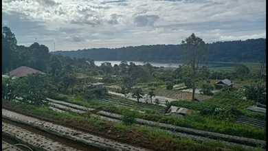 Jual Murah Tanah 3500 m2 Tempat Strategis