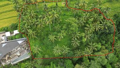 Jual Tanah Minimalis di Area Tampaksiring, Gianyar