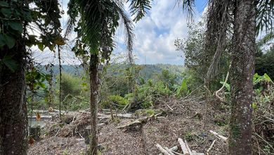 Tanah Elit Dijual di Payangan, Gianyar, Harga 42,4 Triliun