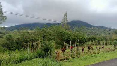 Kavling dengan Nilai Terjangkau Kawasan Kintamani Bangli