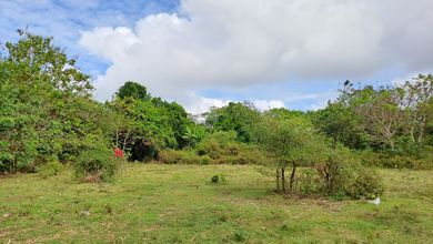 Kavling Prestisius Dijual di Jimbaran, Badung, Harga 28,2 Miliar