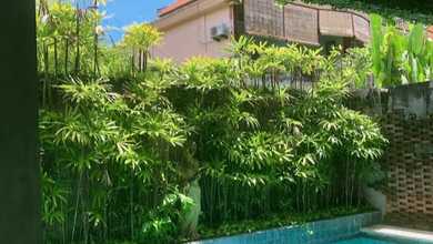 Dijual Homestay 7 Beds Echo Beach Canggu