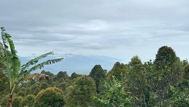 Jual Tanah Kawasan Komplek Gobleg View Danau dan Taman