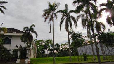 Jual Tanah Kawasan Komplek Gading Serpong View Danau dan Taman