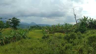 Dijual Tanah di Lokasi Premium Sukamakmur, Bogor, Harga 700 Juta