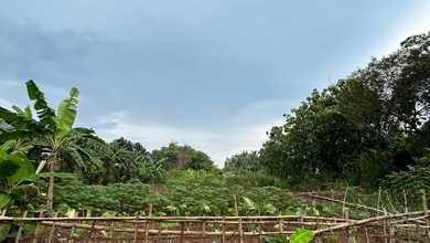 Dijual Tanah Premium di Cisauk, Tangerang, LT 4000m²