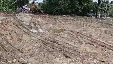 Tanah Nyaman untuk Hunian di Parung Panjang, Bogor, Luas 541m²