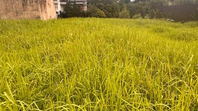 Tanah Ideal untuk Hunian di Bogor Timur, Bogor, Luas 300m²