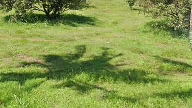 Kavling Prestisius Dijual di Ciseeng, Bogor, Harga 157 Miliar