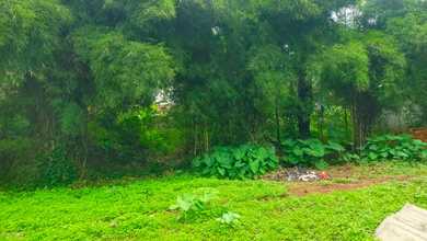 Kavling Prestisius Dijual di Sukaraja, Bogor, Harga 3 Miliar