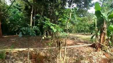 Investasi Tanah Murah di Purwadadi, Subang, Luas 100m²