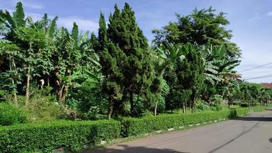 Kavling Prestisius Dijual di Cibubur, Jakarta Timur, Harga 10,5 Miliar