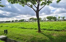 Kavling Prestisius Dijual di Pantai Indah Kapuk 2, Jakarta Utara, Harga 9,72 Miliar