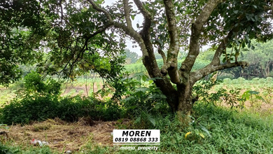 For Sale Tanah Eksklusif di Ciseeng, Bogor, LT 50591m²