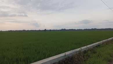 Dijual Tanah Eksklusif di Cibogo, Subang, LT 9000000m²