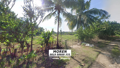 Kavling Prestisius Dijual di Pagelaran, Pandeglang, Harga 30 Miliar