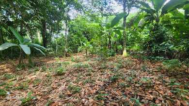 Tanah Elit Dijual di Kalijati, Subang, Harga 500 Miliar