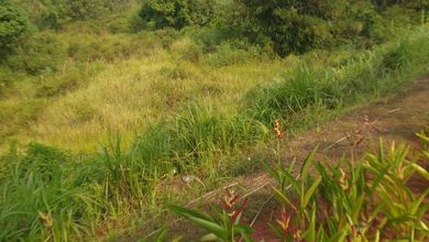 For Sale Tanah Premium di Jatisampurna, Bekasi, LT 15000m²