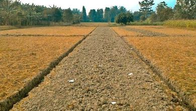 Dijual Tanah Eksklusif di Muara Karang, Jakarta Utara, LT 240m²