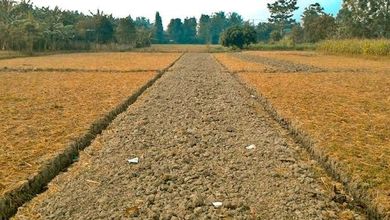 Tanah Ideal untuk Hunian di Suvarna Sutera, Tangerang, Luas 300m²