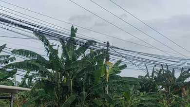 For Sale Tanah Eksklusif di Ciangsana, Bogor, LT 6000m²