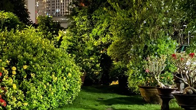 Hunian Mewah di S Parman, Jakarta Barat, 5 Kamar Tidur, LT 650m²