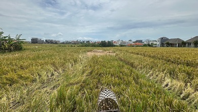 Dijual Tanah Premium di Cemagi, Badung, LT 3300m²