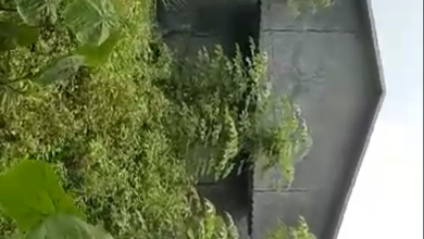 Disewa Gudang di Cipondoh, Tangerang