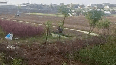 Dijual Kavling 1200 m2 Area Cluster Mewah Sepatan