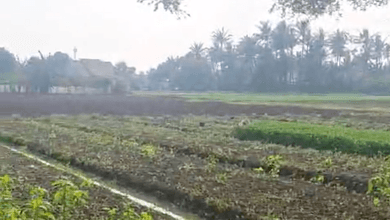 Jual Murah Tanah 1500 m2 Tempat Strategis