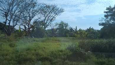 Tanah Komersial Elit Disewakan di Kawasan Balaraja, Harga 28 Triliun