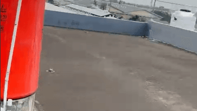 Disewakan Gudang 3lt Akses Container di Batu Ceper, Tangerang