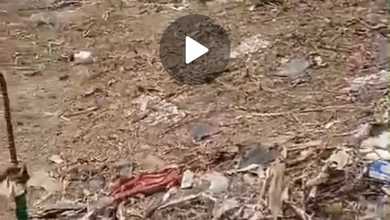 For Sale Tanah Eksklusif di Citra Garden, Jakarta Barat, LT 562m²