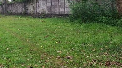 Jual Tanah di Lokasi Premium Suvarna Sutera, Tangerang, Harga 851 Juta