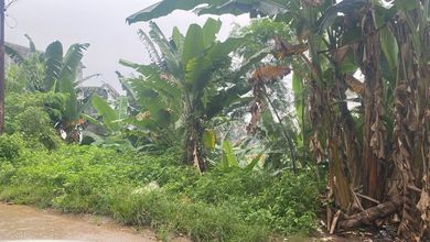 For Sale Tanah Eksklusif di BSD, Tangerang, LT 29000m²