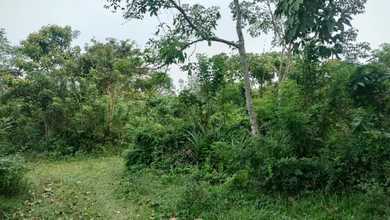 Dijual Tanah Eksklusif di Panimbang, Pandeglang, LT 47300m²