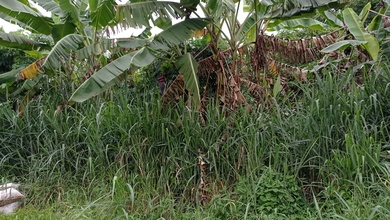 For Sale Tanah Eksklusif di Tangerang Kota, Tangerang, LT 4325m²