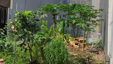 For Sale Tanah Premium di Kapuk Muara, Jakarta Utara, LT 102m²