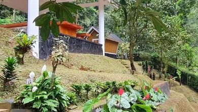 Dijual rumah Premium di Puncak, Bogor - LT 1650m²