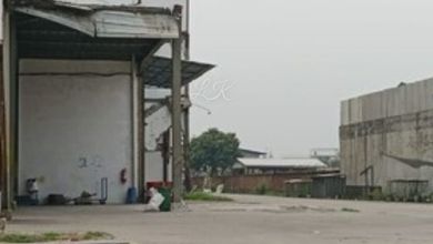 Tanah Elit Dijual di Kapuk Kamal, Jakarta Barat, Harga 342 Triliun