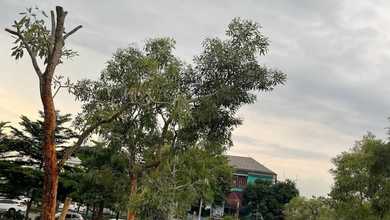 Tanah Elit Dijual di BSD, Tangerang, Harga 19 Miliar